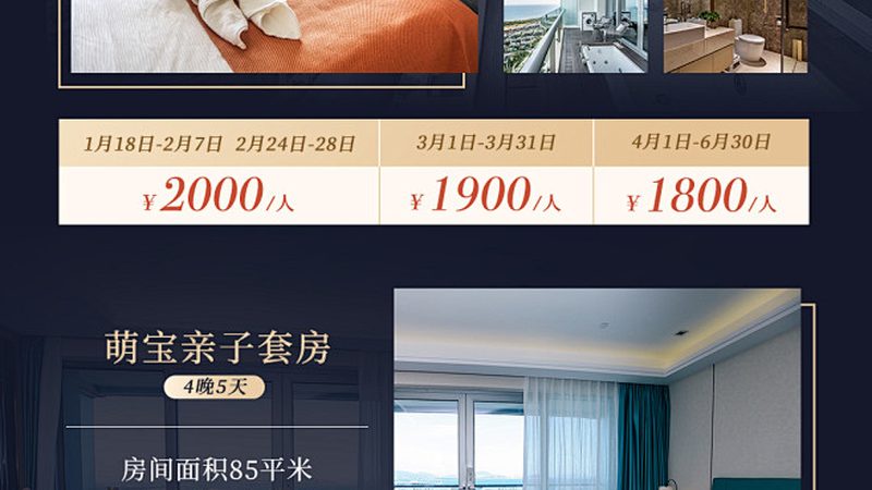 国际会议旅游交通方式选择
