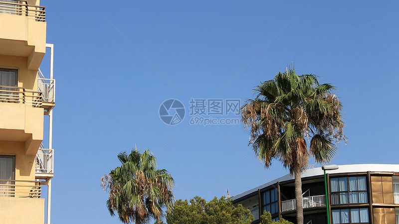 小标题：了解父母的旅行偏好